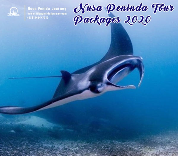 Nusa Peninda Tour Packages 2020